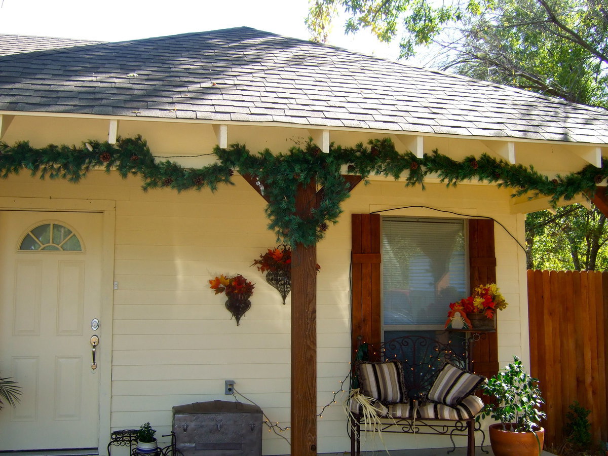 Image: Here is their beautiful greenery that invites red birds to build their nests.