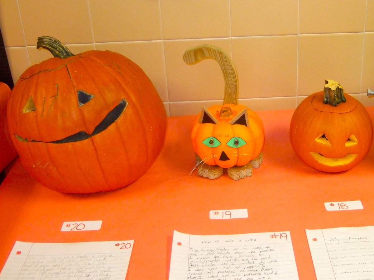 Image: Who let that cat into the school?