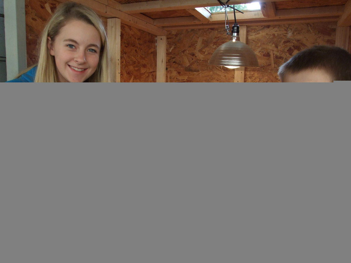 Image: This is Britney and Tanner Chambers second year showing animals at the Expo.  This year Elmo and Glitzy will be living “high on the hog” at the Ag barn.