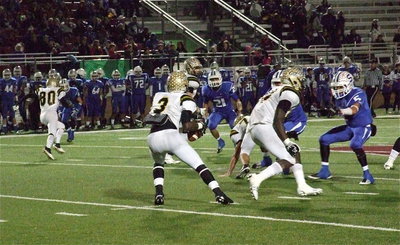 Image: Quarterback Marvin Cox(3) drops back to pass, Kelvin Joffre(80) and Chase Hamilton(2) release downfield and Ryheem Walker(10) readies to block.