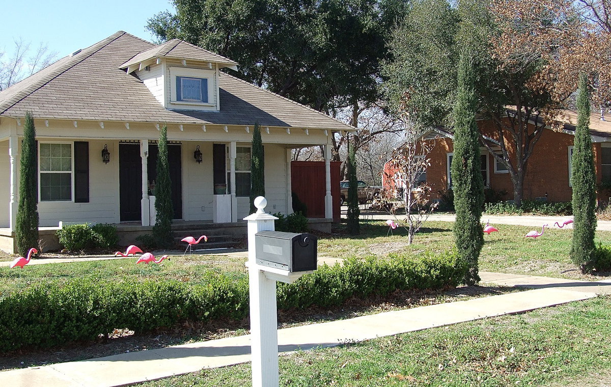 Image: The latest to be flocked by the Italy High School Class of 2014 is Brother Joseph Barrett, Pastor at Central Baptist Church of Italy. And if anybody knows the power of a flock, it’s Brother Joseph who was graced by the band of 11 flamingos early this morning.