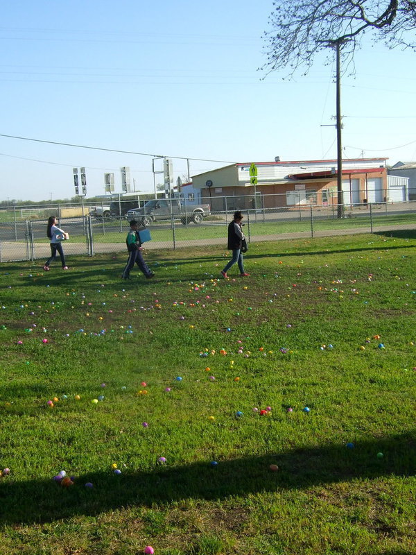 Image: Busy getting all the eggs out for the kids.