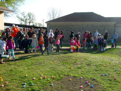 Image: Waiting to hunt the eggs.