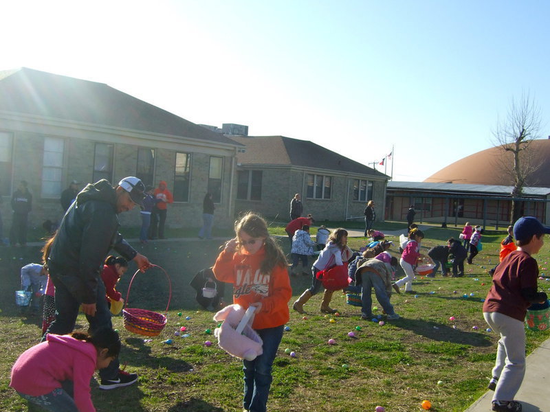 Image: Still finding more eggs!