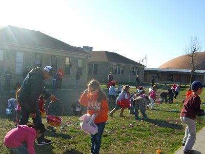 Image: Still finding more eggs!