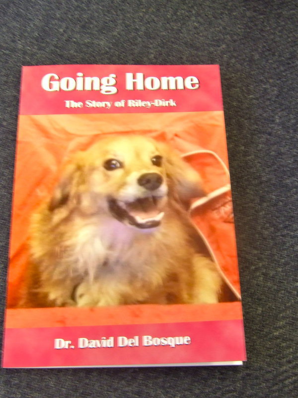 Image: The proceeds from this book will go to benefit the children of Avalon.