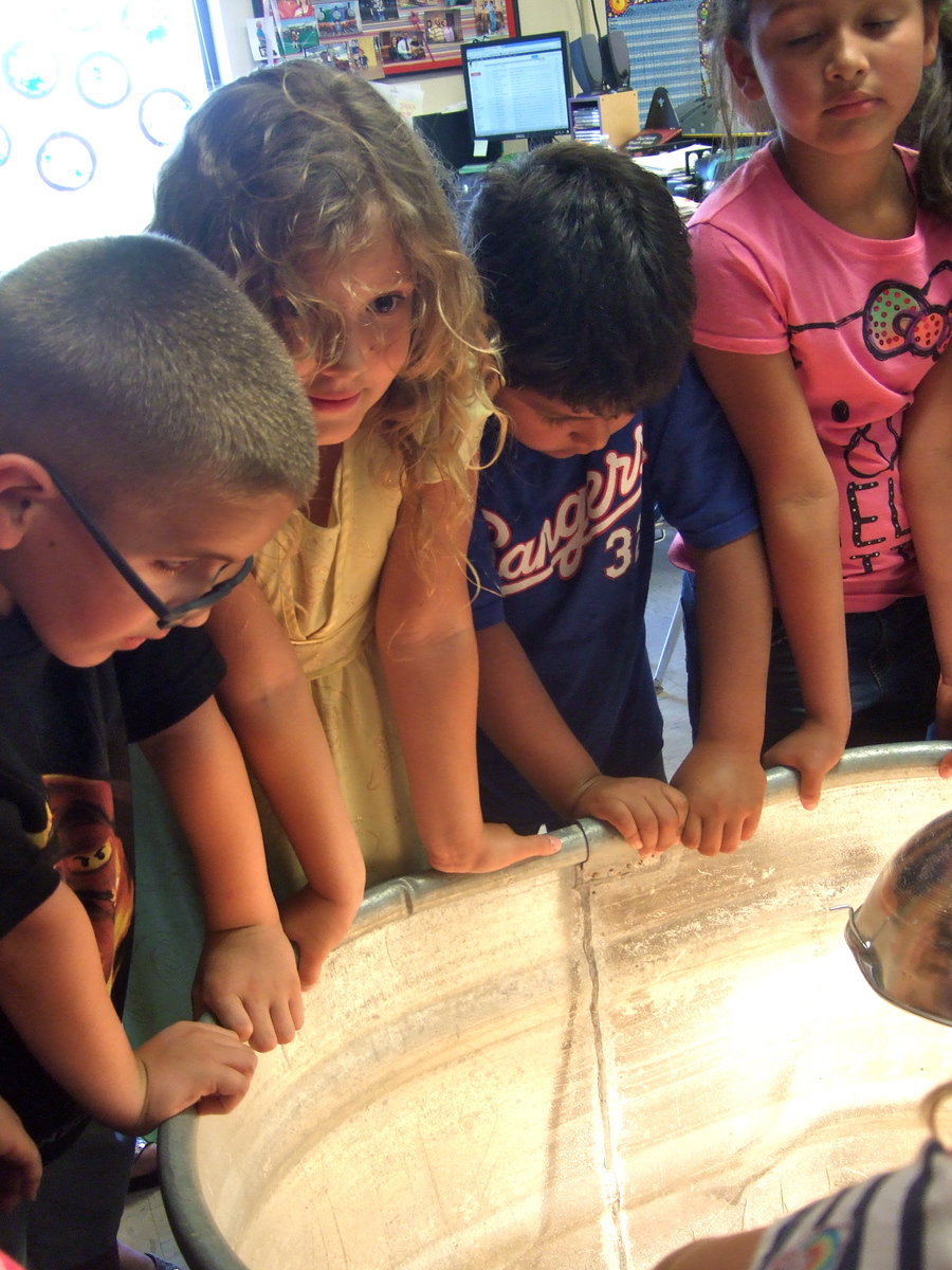 Image: The students are checking out the chicks!