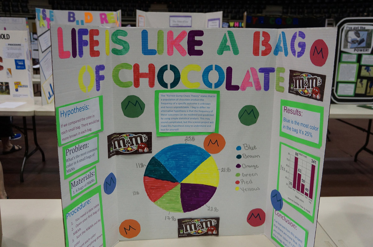 Image: As you can see on the entry, the student gives:
    Hypothesis, Problem, Materials List, Procedure of experimentation and results.