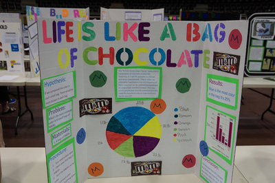Image: As you can see on the entry, the student gives:
    Hypothesis, Problem, Materials List, Procedure of experimentation and results.