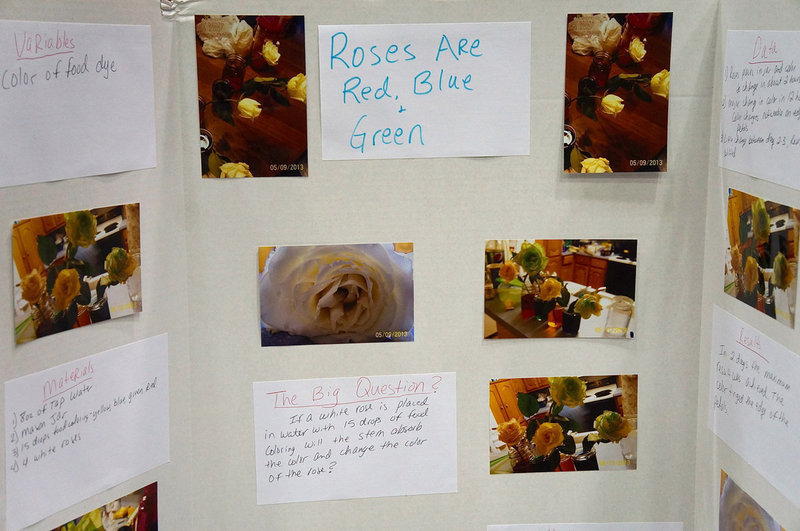 Image: Jacob Brooks’ Third Place entry.