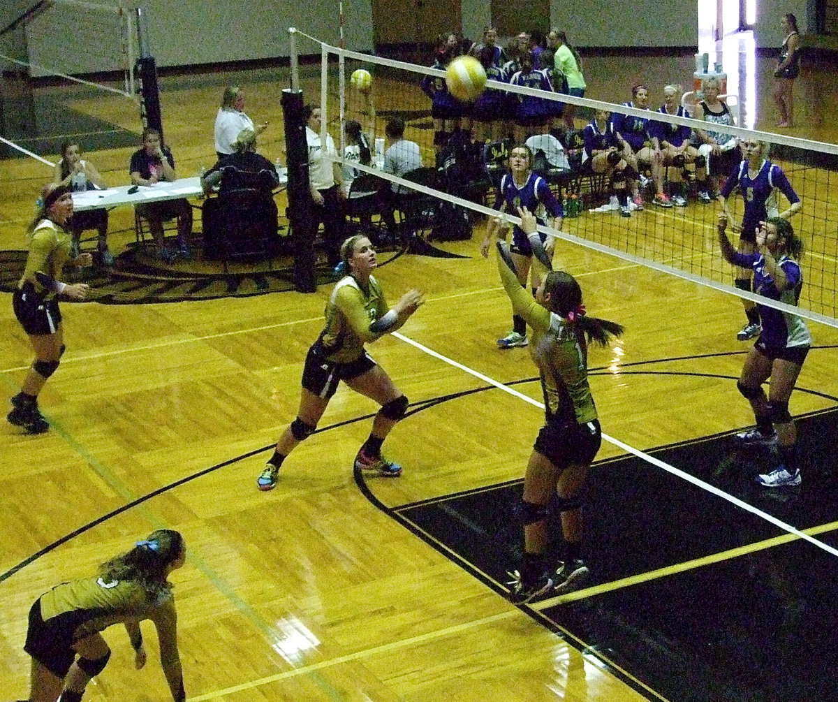 Image: Bailey Eubank(1) sets the ball for Madison Washington(10) who is ready to strike.