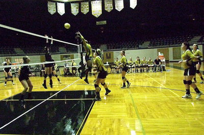 Image: An elegant aerial backhand shot by Italy’s Kortnei Johnson(12) keeps Palmer on their toes.