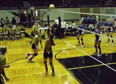 Image: Lady Gladiator Bailey Eubank(1) sets up striker Madison Washington(10).