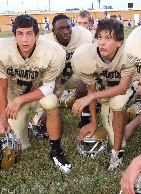 Image: These Gladiators will lay it on the line every Thursday night for Italy.