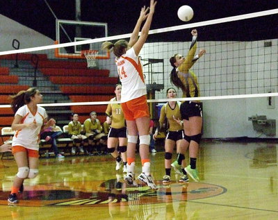 Image: Lillie Perry(9) back taps the ball over the net for Italy.