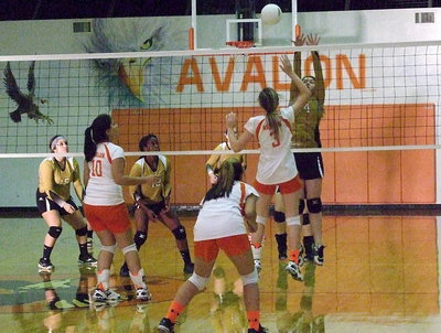 Image: Italy’s Taylor Turner(14) gets above the net on defense.
