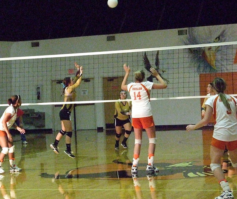 Image: Italy’s Bailey Eubank(1) sets up a shot for her teammates.