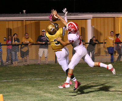 Image: Helping Italy to end the night on a positive note is senior receiver Tre Robertson(3) who makes another outstanding catch, this time for 6 points.