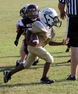 Image: Careful Mr. Referee! Curtis Benson(1) outruns Eagles and Zebras to score a 75-yard touchdown for the IYAA C-team Gladiators.