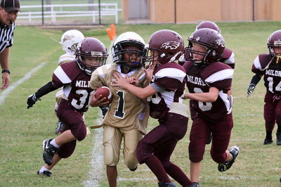 Image: Curtis Benson(1) skirts the sideline while fighting off pecking Eagle tacklers.