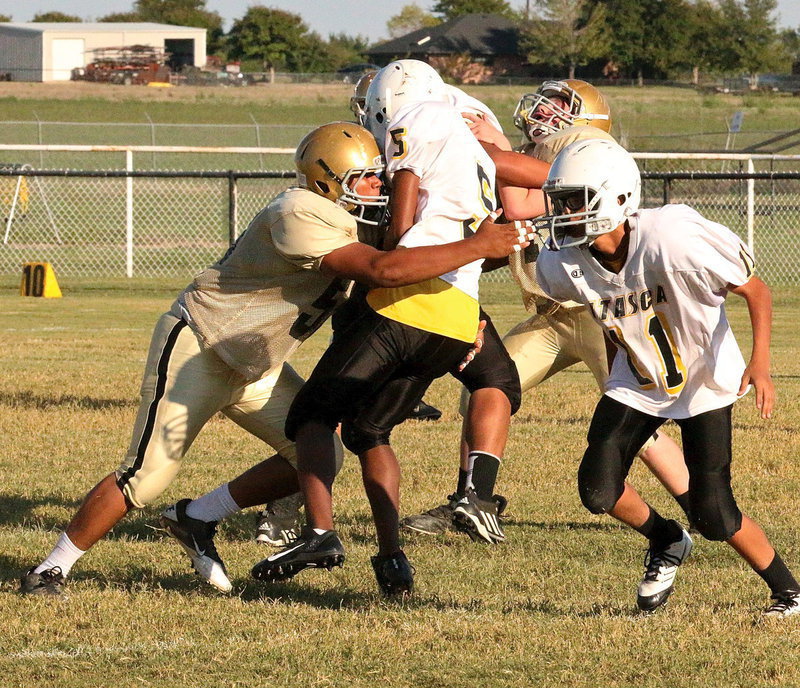 Image: Stuffed! Is it Thanksgiving already?