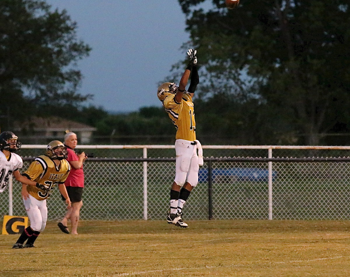 Image: Fabian Cortez(13) rises for the pick to keep the Cats grounded.