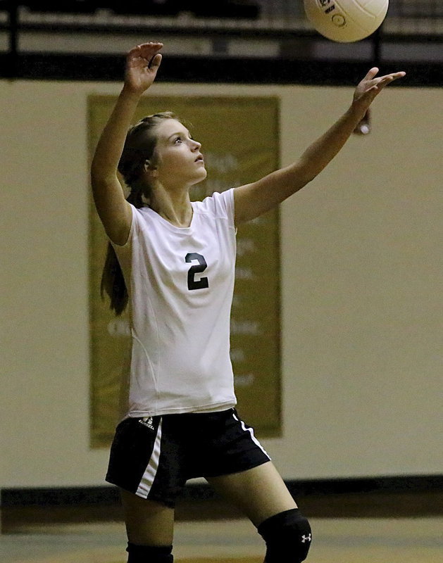 Image: Kristen Viator(2) serves to the Polar Bears.