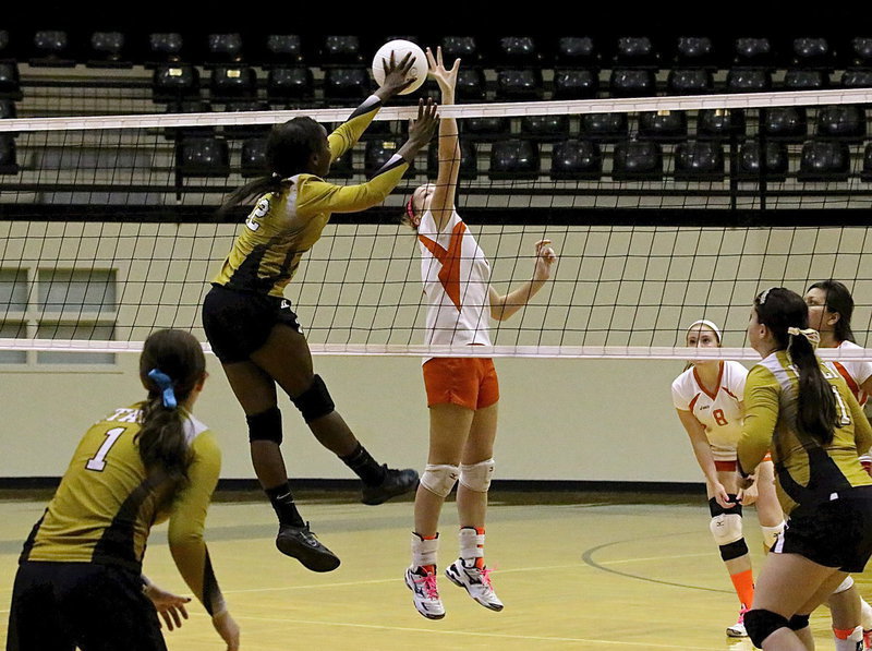 Image: Kortnei Johnson(12) gets the ooh-ah block against Avalon.
