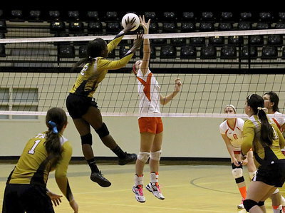 Image: Kortnei Johnson(12) gets the ooh-ah block against Avalon.