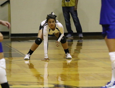 Image: Ashlyn Jacinto(6) stays low before an upcoming serve.