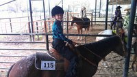Image: Gentry Rogers of Milford and her pony Santee Grand were in the Top 5 of ECEA’s English and Western Divisions in the 11 & Under age category.