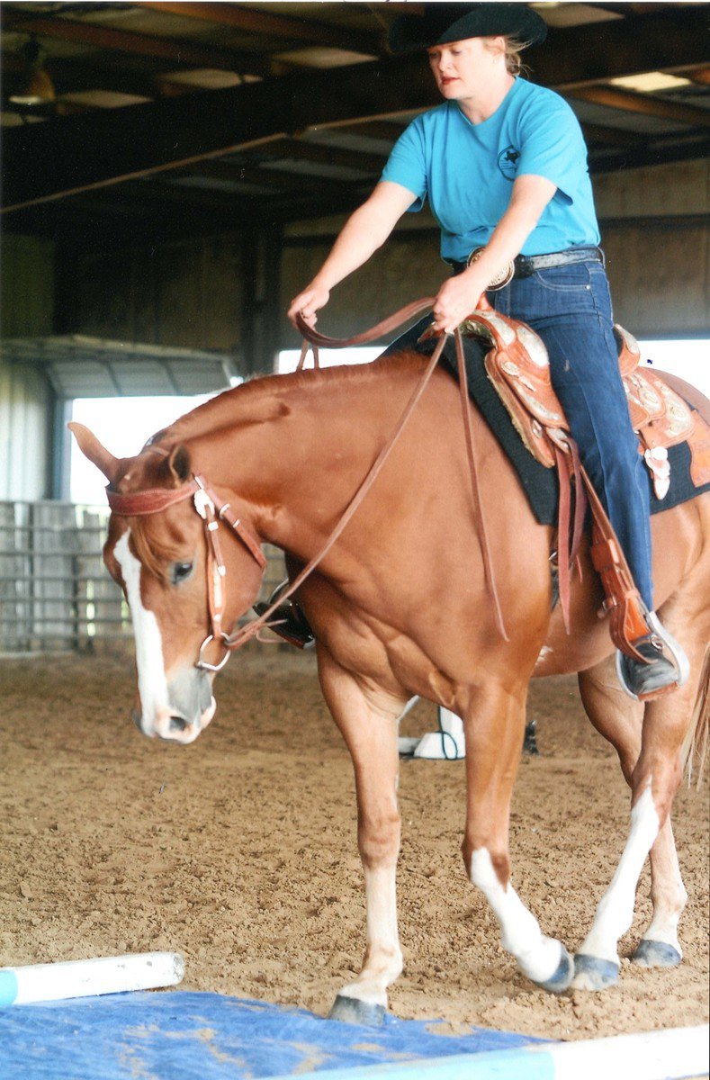 Image: Zippo E Nuff and Julie Hinz won the buckle for Green Horse Champion.