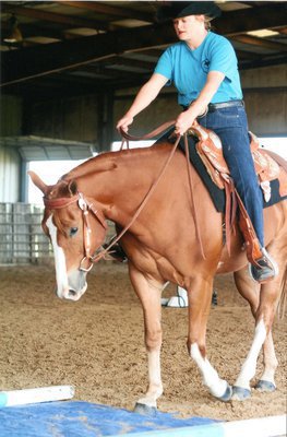 Image: Zippo E Nuff and Julie Hinz won the buckle for Green Horse Champion.