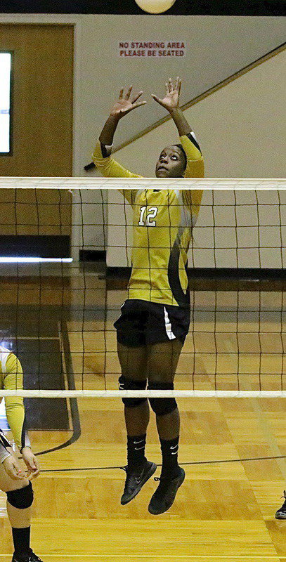 Image: Lady Gladiator junior Kortnei Johnson(12) earns 2nd Team All-District honors.