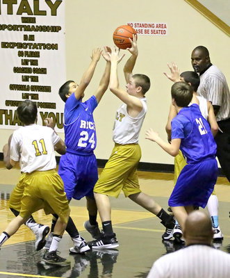 Image: Italy’s, Clay Riddle(30) battles for a rebound.