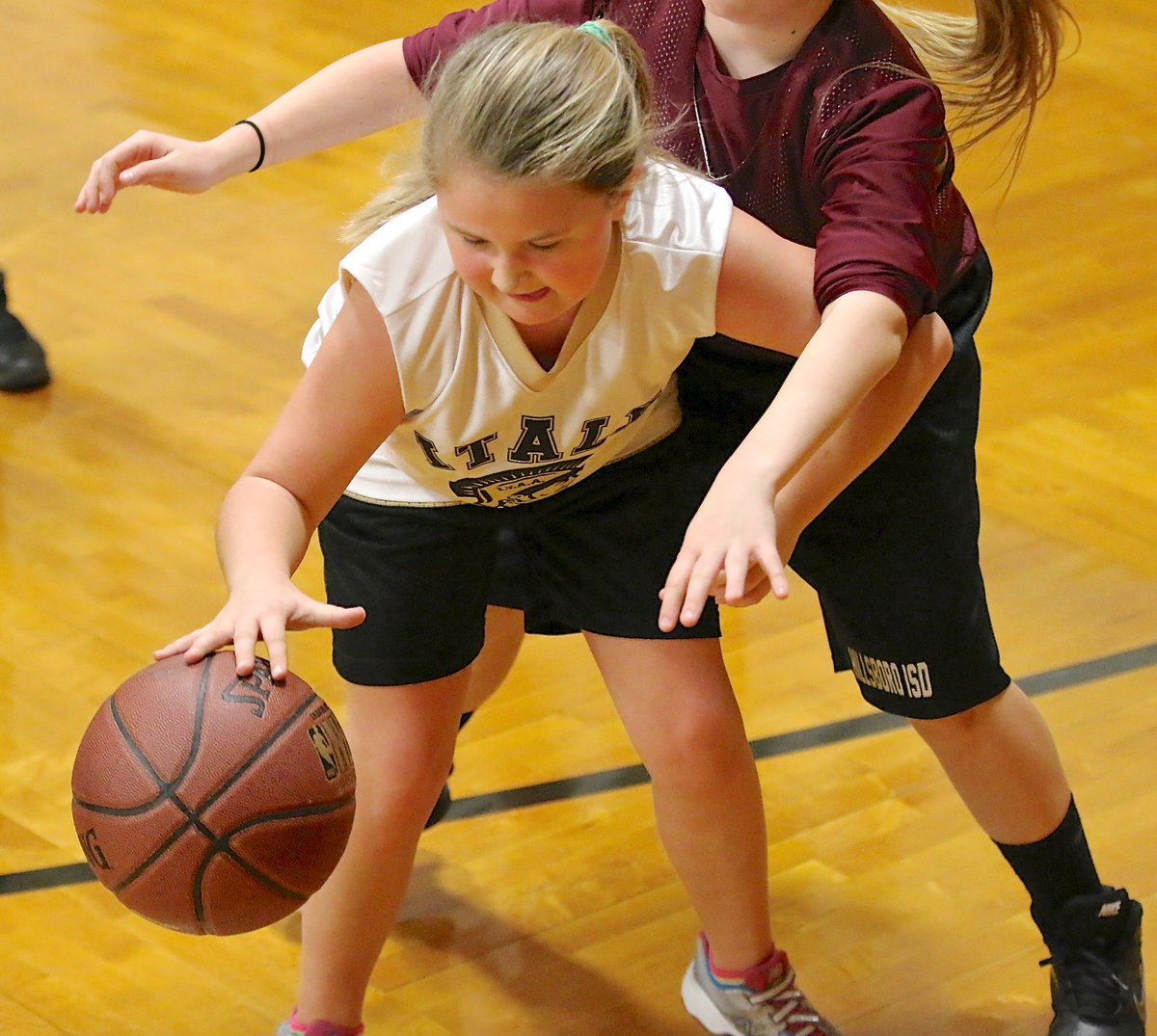 Image: Haley Mathers(5) fends off an Eagle defender.