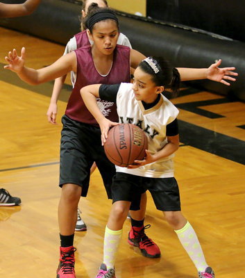 Image: Aliya Turner(3) backs down an Eagle defender.