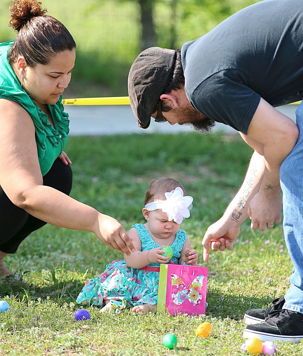 Image: Early egg hunting training.