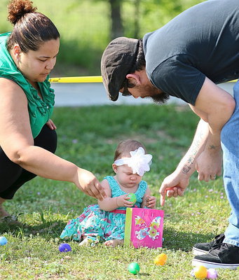 Image: Early egg hunting training.