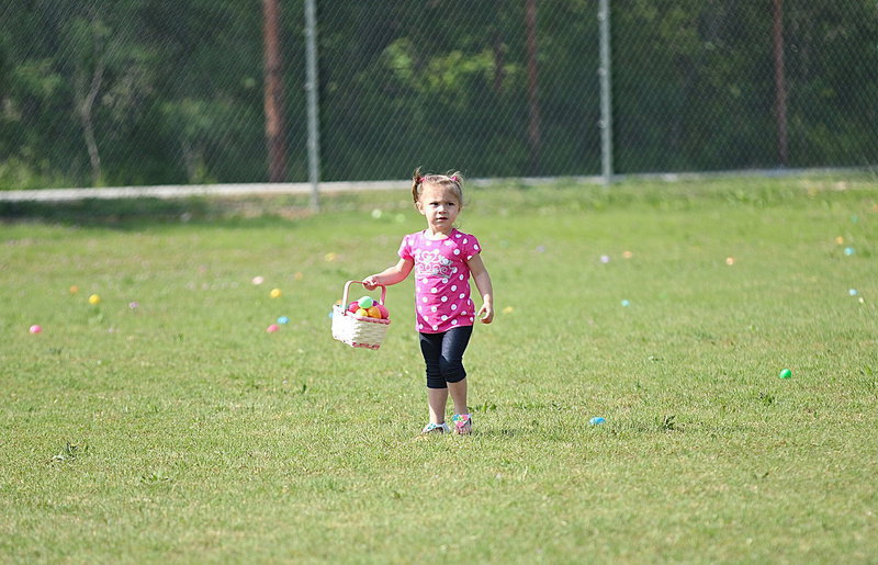 Image: So many eggs so little time for Avery Kerr.