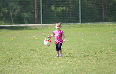 Image: So many eggs so little time for Avery Kerr.