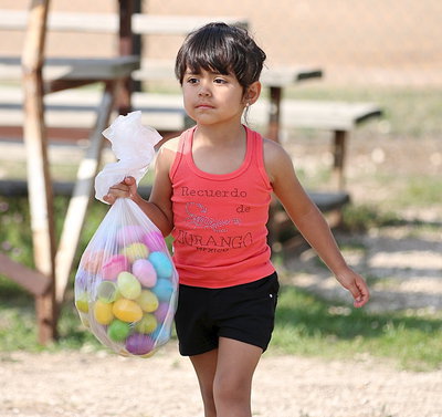 Image: Eggcellent work!