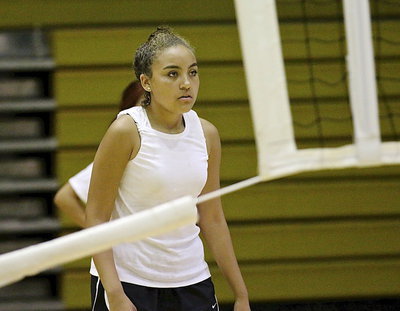 Image: Venessa Cantu, can!