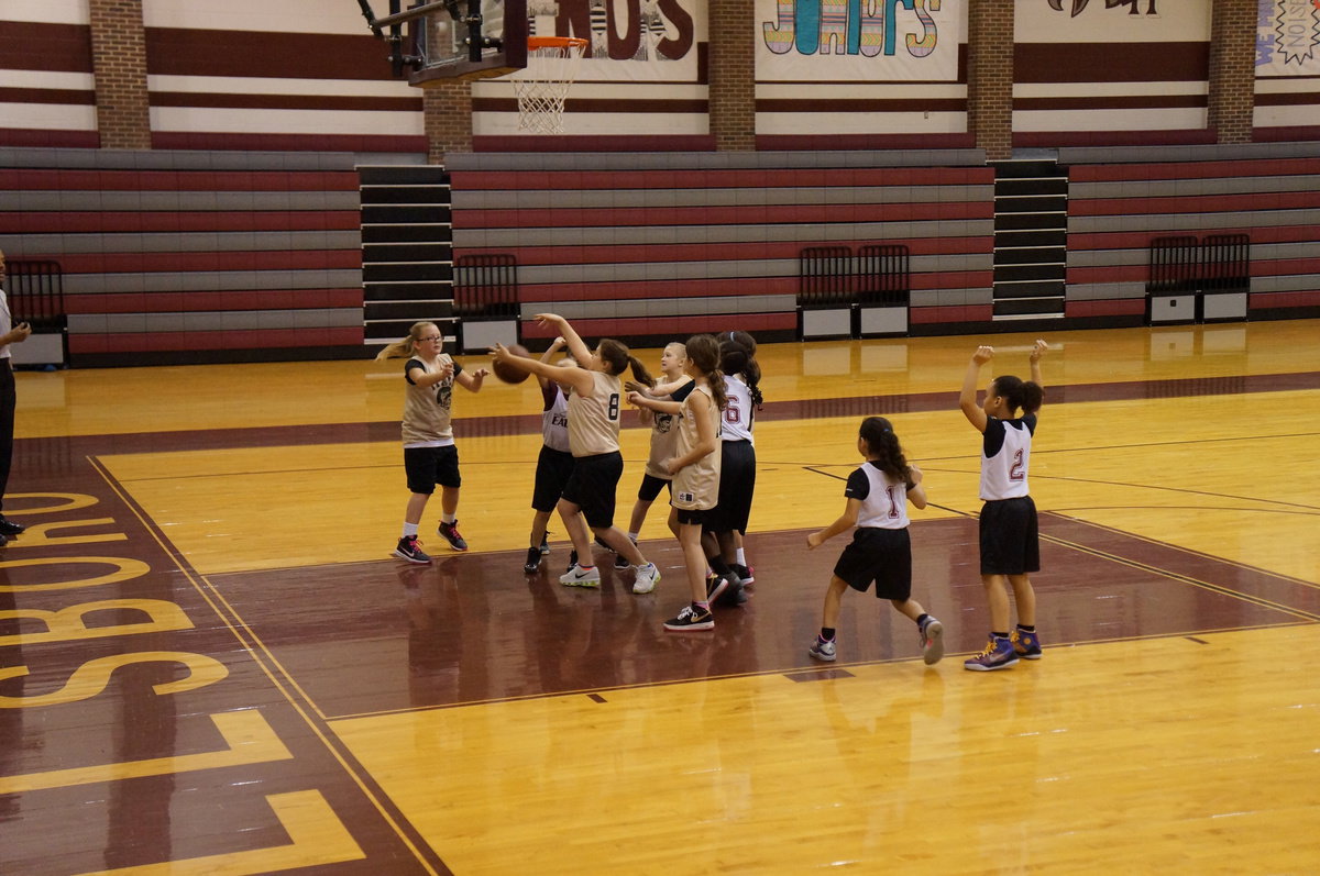 Image: Defense!  Taylor and Gabi block the shot.