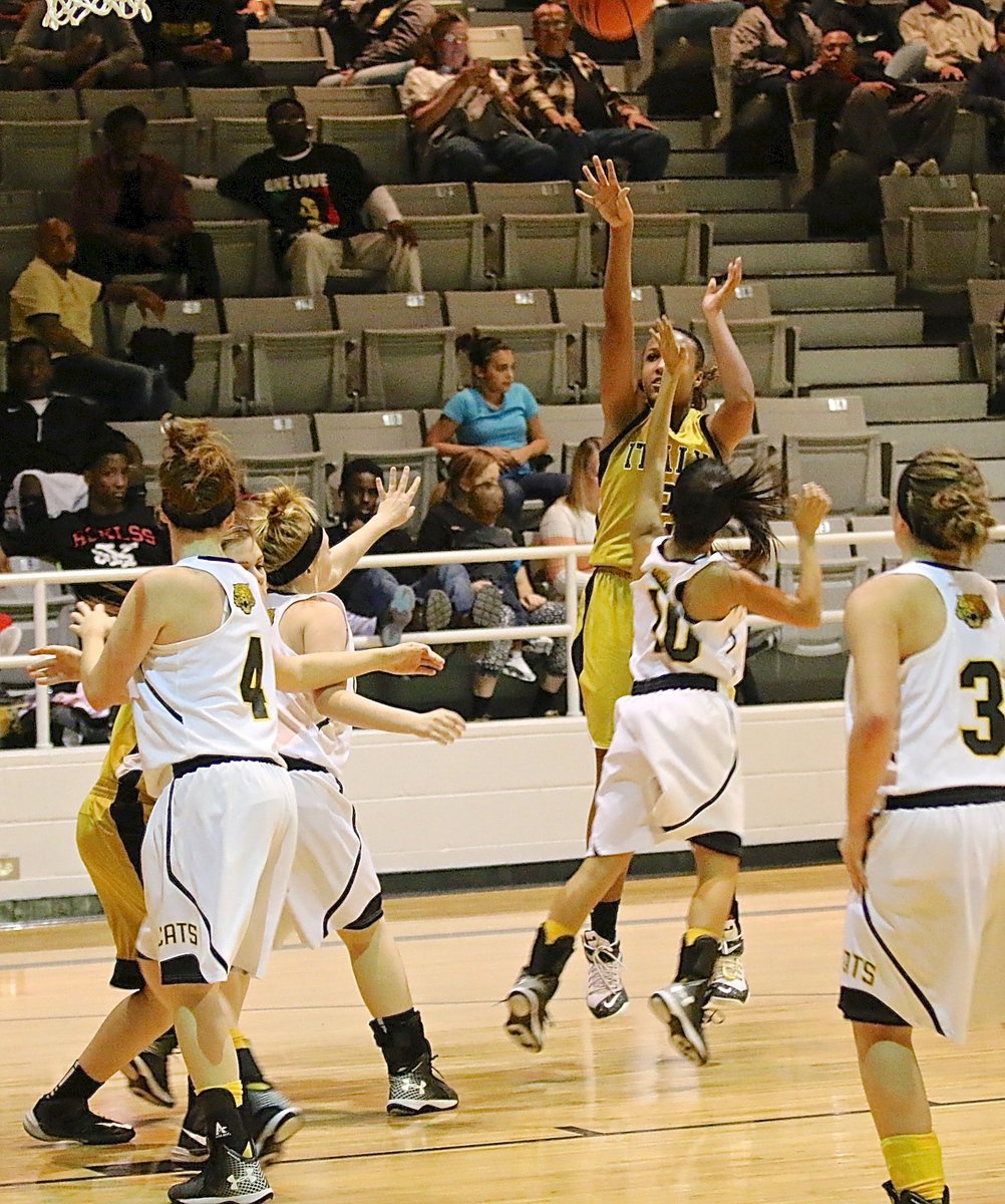 Image: Emmy Cunningham(2) knocks down a jumper over a Lady Wampus Cat defender.