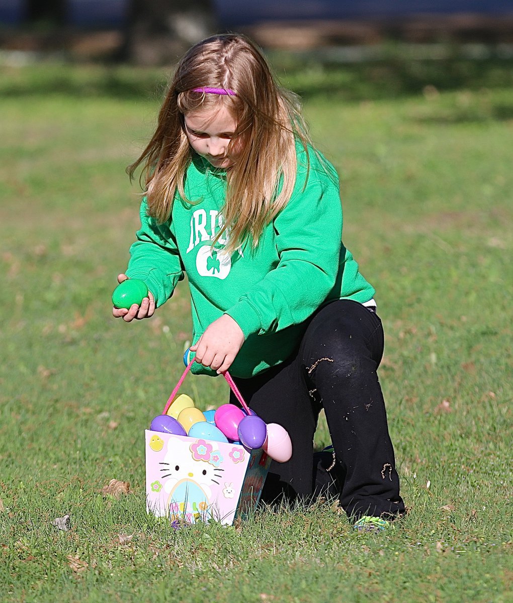 Image: Azlin is experiencing her share of egg placement issues.