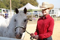Image: Sadie Hinz and Plaudits Handsome Lad won Champion Hunter Hack and Champion English Rider, Reserve Champion Western Rider and Reserve Champion Pony at Halter.