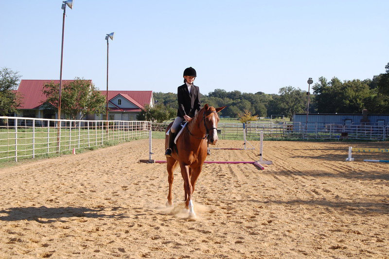Image: Gentry Rogers rides I Am Quick Time to a reserve championship in the Green Horse division.