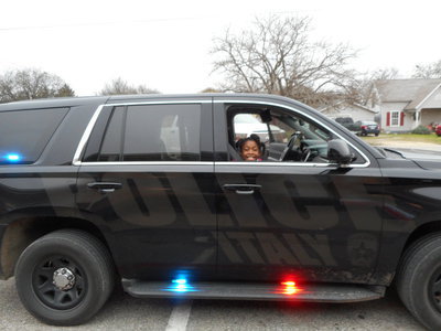 Image: Someone is very excited to ride shot gun.