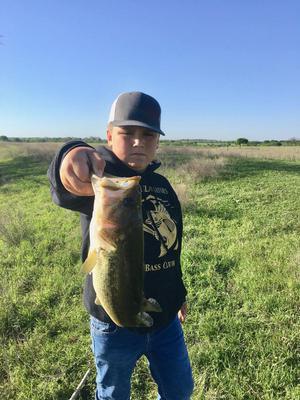 Image: Gavin Ramirez won 1st in the junior divison